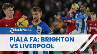 Piala FA: Brighton Vs Liverpool, Kemenangan Melawan Brighton Menjadi Harga Mati Untuk Liverpool