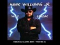 Hank Williams, Jr. - You Brought Me Down To Earth