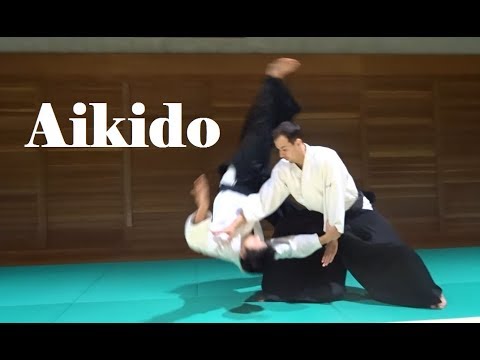 Elegant and Beautiful Aikido