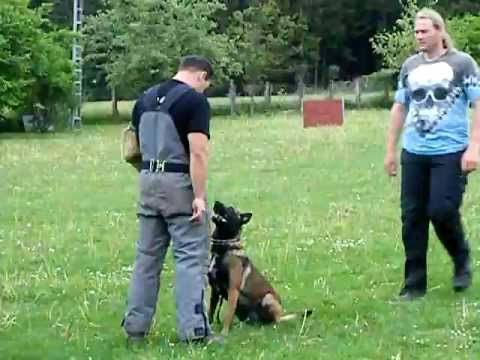 Arrack's Home GoGo Bewachung vom Helfer