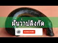 ทํานายฝัน เลขเด็ด แม่นๆ ฟรี