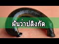 ทํานายฝัน เลขเด็ด แม่นๆ ฟรี