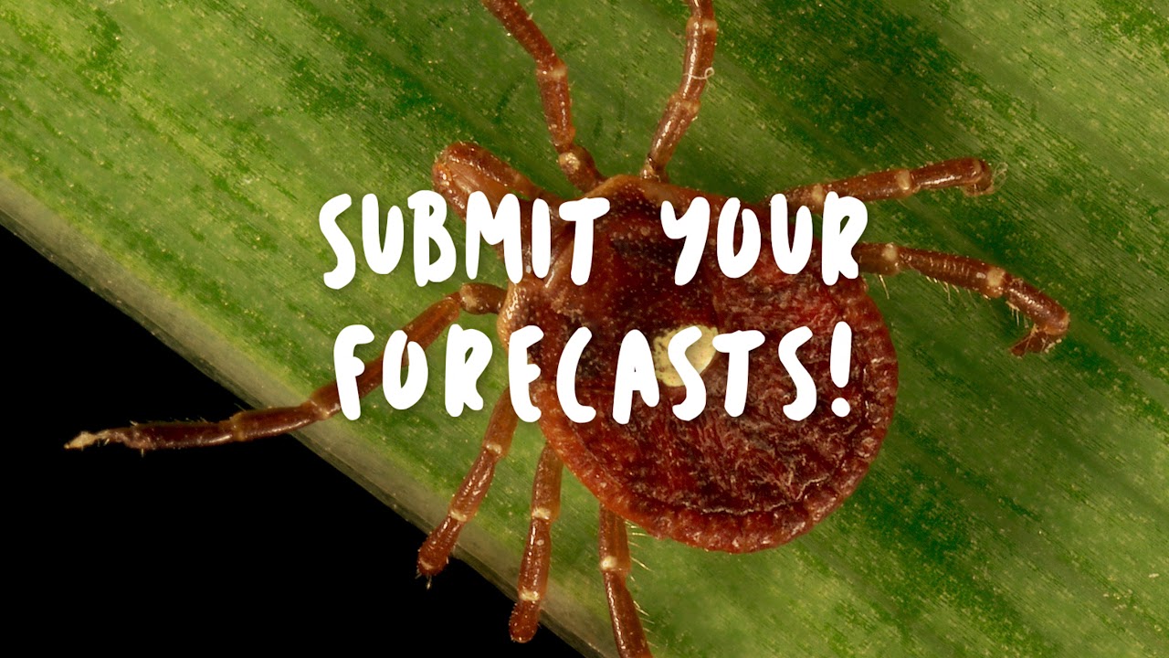 Tick Population Size NEON Forecast Challenge