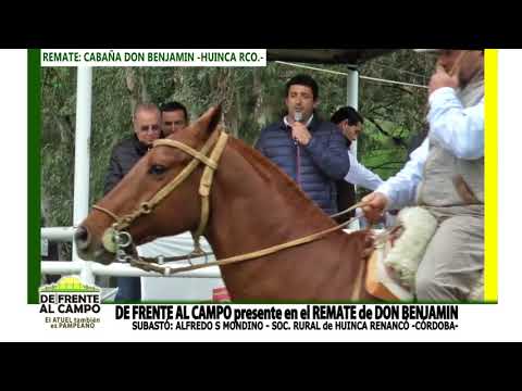 DE FRENTE AL CAMPO junto a CABAÑA DON BENJAMIN -REPRODUCTORES-