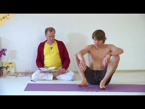 Arm-Druck-Pose - Arm-Druck-Haltung - Yoga Asana Lexikon