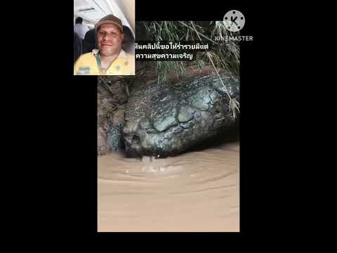 Edwin baffe Remix [Asua bilong Yu]