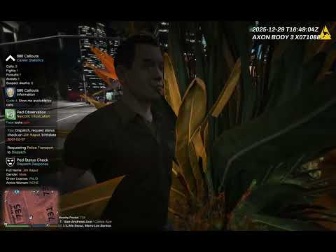 Realistic GTA V LSPDFR Bodycam Patrol | No Commentary | 4K 60FPS