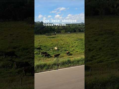 #pedalandoporaí #shortsvideo