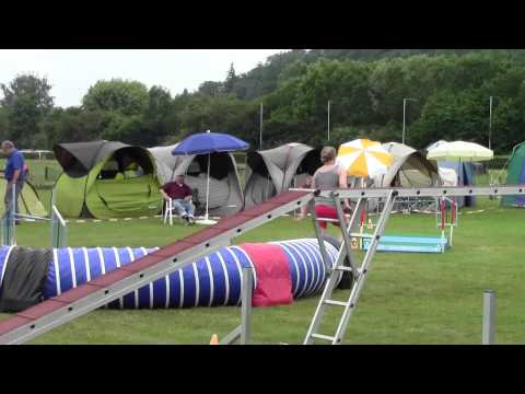 06.06.2015: Hundesportfreunde Saar - Katja mit Nella, A1 large