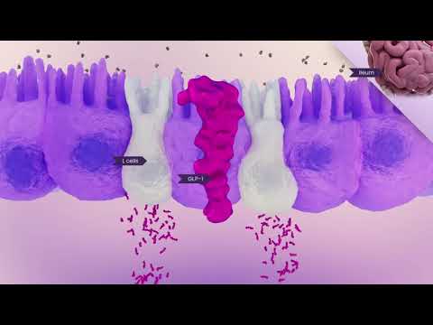 Terbinafine hcl dusting powder, packaging type: bottle, pack...