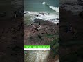 Vizag Top 5 Beaches To Visit Best Places In Vizag II Surojit Palmal Shorts
