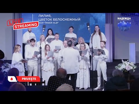 Лилия цветок белоснежный - камерный хор Inger Alb