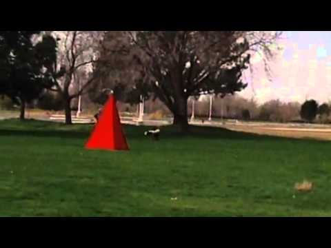 Grizm takes him down