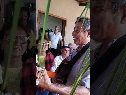 folia de reis de Anicuns goias(1)