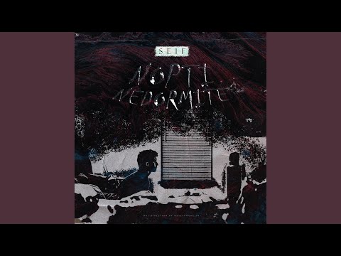 Nopti nedormite (feat. GOB)