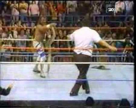 WWF History - Andre the GIANT & Jake Roberts feud