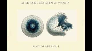 Medeski, Martin & Wood - Reliquary