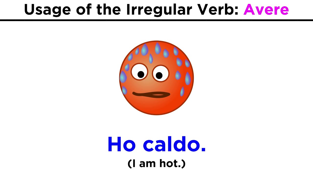 Conjugation and Usage of the Verb: Avere (To Have)