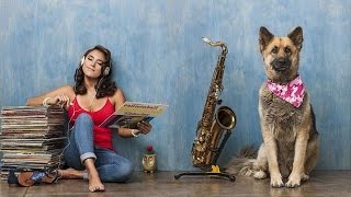 Jessy J - You're Makin' Me High   *THE SMOOTHJAZZ LOFT*