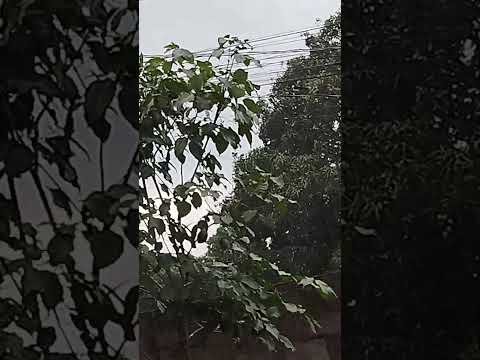 chuva com muito vento em Matozinhos Minas Gerais.