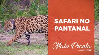 Conheça o ecoturismo do Pantanal com Patty Leone | MALA PRONTA