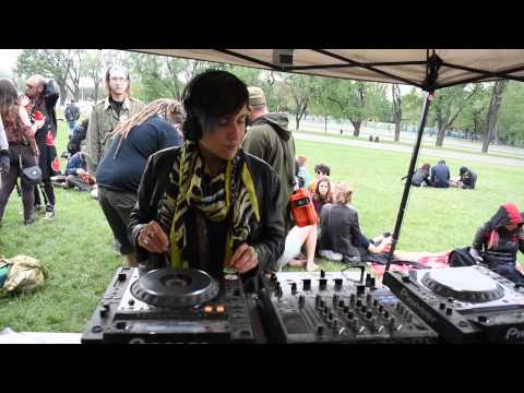 2015-05-31 - Odonata