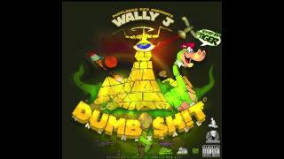 2. Wally J - 30000 ft DUMB SHIT - DUBSTEP RAP DUBRAP RAVE RAP DUB RAP