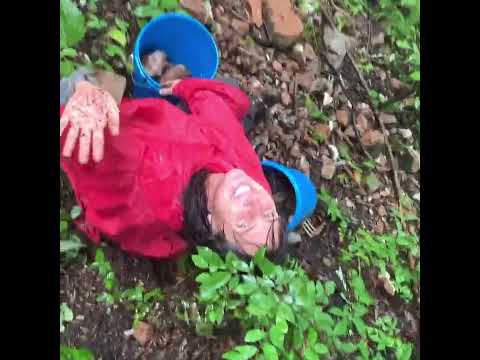 At Crystal Vista in Arkansas looking for quartz!!! So many rocks!!!!