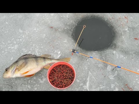 Łowienie spod lodu. Tafla pękła mi pod nogami, wpadłem do wody.