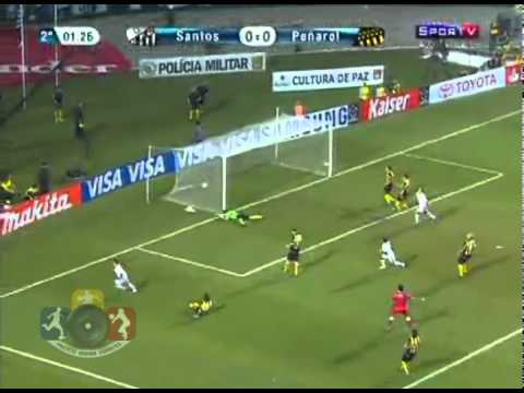PGEsportes.org | Santos Campeão da Libertadores 2011