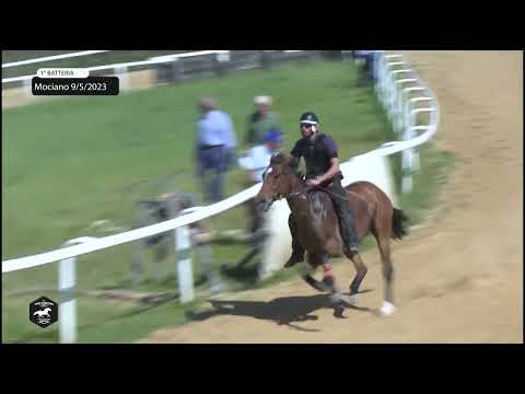 CORSE MOCIANO 09 MAGGIO 2023