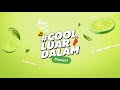 Alang Sari Cool Music Video