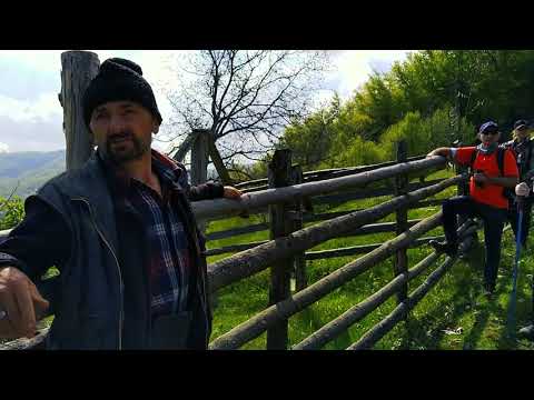 Petru Cândea, Purcăreți, Alba