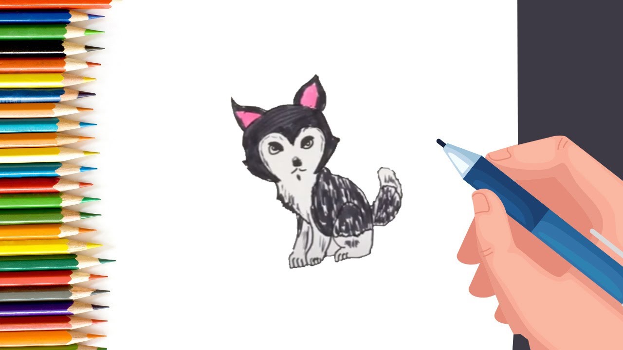 How to Draw Husky