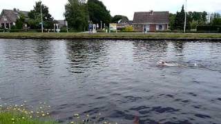 preview picture of video '5km Open water race - Twenterand Vriezenveen (swimming)'