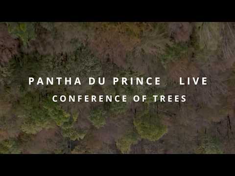 Pantha du Prince - Conference of Trees Live  2020 (Trailer)
