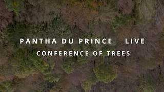 Pantha du Prince - Conference of Trees Live  2020 (Trailer)