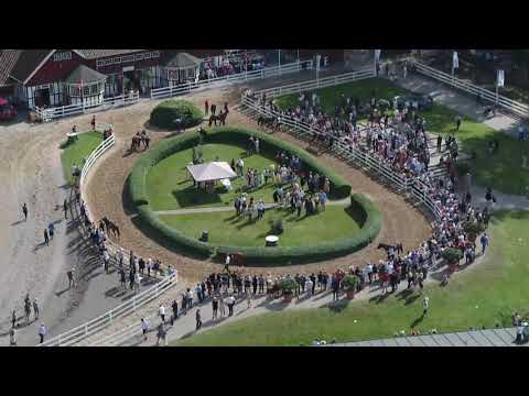 DAMERNES DAG PÅ KLAMPENBORG GALOPBANE 2019