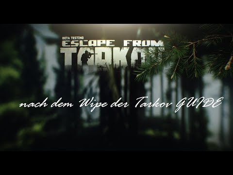 Escape from Tarkov German Wipe, Koop Guide, Customs, Zollgelände