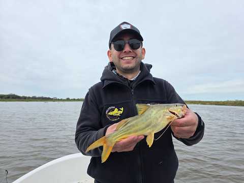APERTURA TEMPORADA CAZA MENOR 2026 Y PESCA DE AMARILLOS EN HELVECIA - EL PATO TV 1244