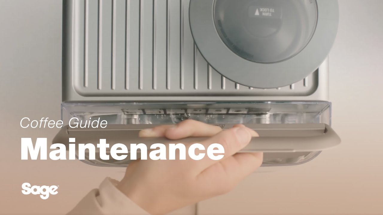 How to replace the water filter