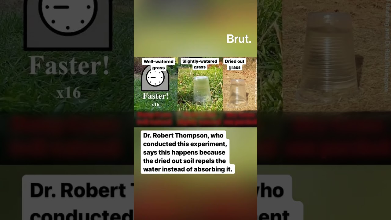 This experiment shows how droughts lead to flash floods …