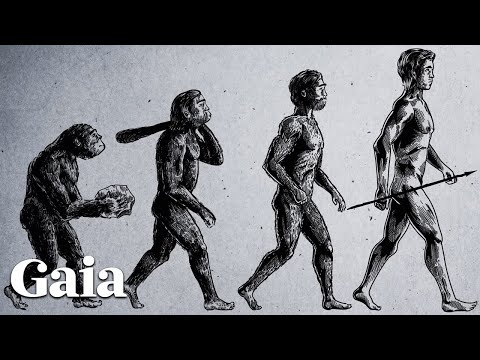 This Mysterious Gene Modification Sets Us Apart From Primates