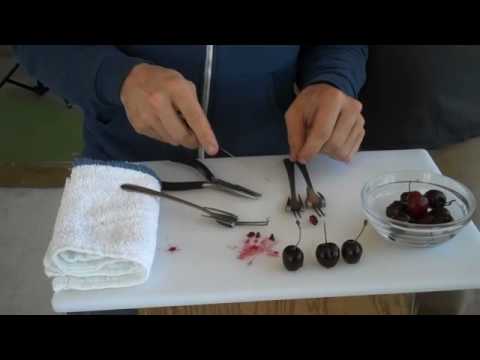 DIY-How to Make a Homemade Cherry Pitter