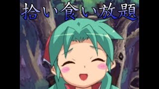 《実況》　アルルゥとあそぼ!!　Part17