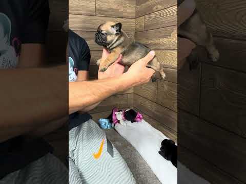 Video 6