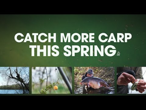 CATCH MORE CARP THIS SPRING | 1-hour of valuable information from a variety of anglers.