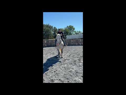 youtube preview