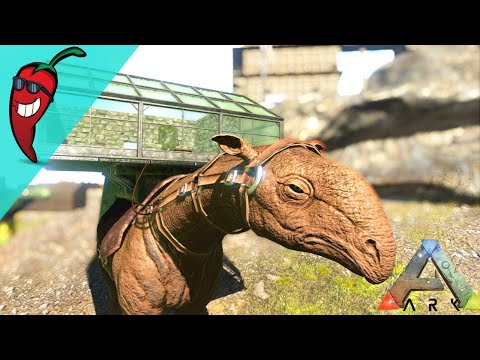 Paracer Taming and Simple Base Build   -  Ark: The Island Gameplay Ep29