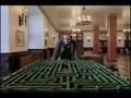 The Shining Hedge Maze